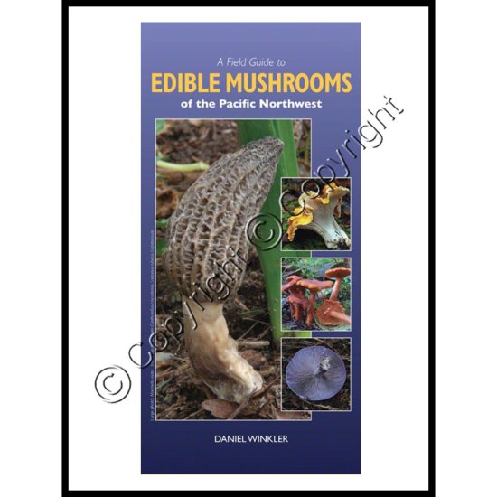 A Field Guide to Edible Mushrooms of the Pacific Northwest - Click Image to Close