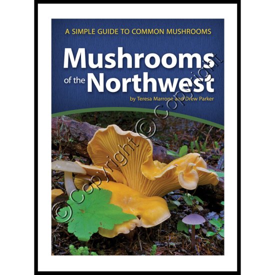 Mushrooms of the Northwest: A Simple Guide to Common Mushrooms - Click Image to Close
