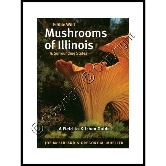 Edible Wild Mushrooms of Illinois and Surrounding States - Click Image to Close