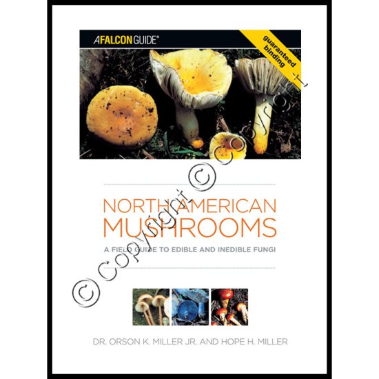North American Mushrooms: - Edible and Inedible Fungi - Click Image to Close