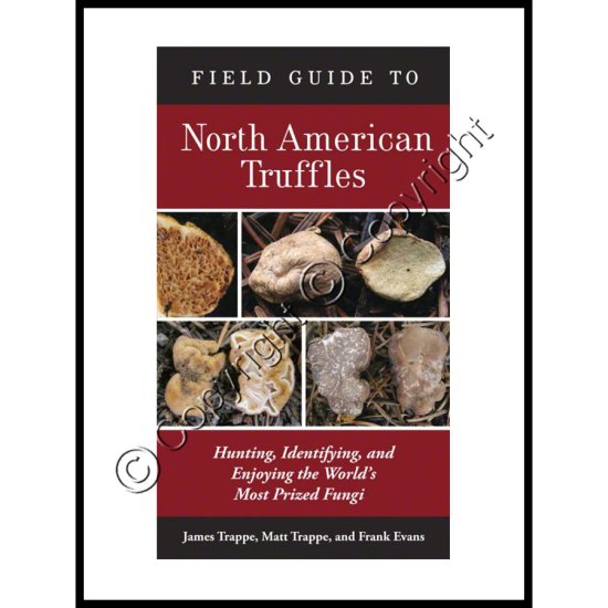 Field Guide to North American Truffles - Click Image to Close