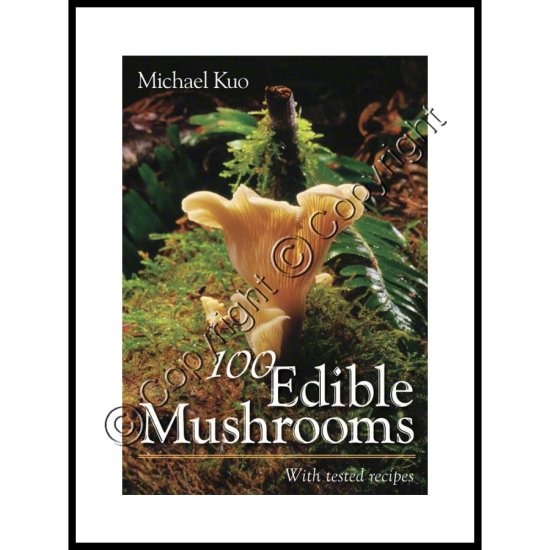 100 Edible Mushrooms - Click Image to Close