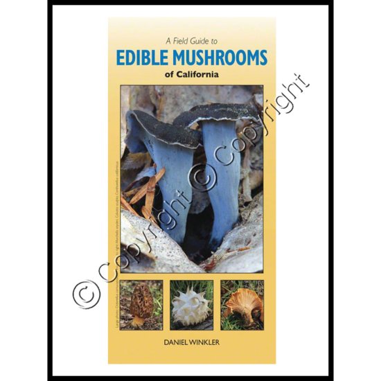A Field Guide to Edible Mushrooms of California - Click Image to Close