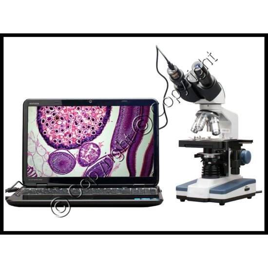 LED Binocular Microscope w/ 3D Stage & 1.0MP USB Imager 40X-2500X - Click Image to Close