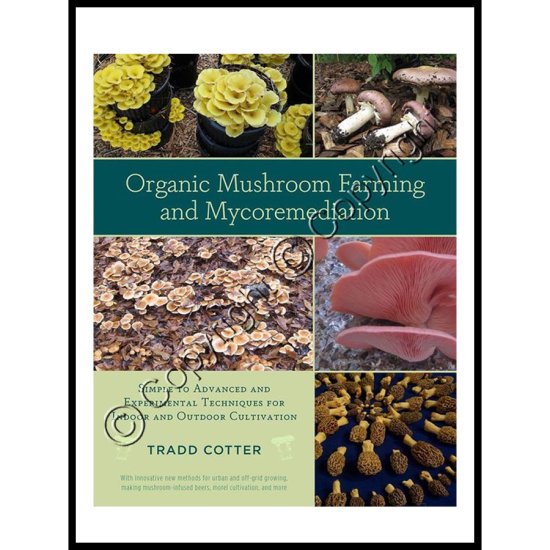 Organic Mushroom Farming and Mycoremediation - Click Image to Close