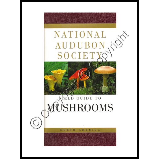 National Audubon Society - Field Guide To N. American Mushrooms - Click Image to Close