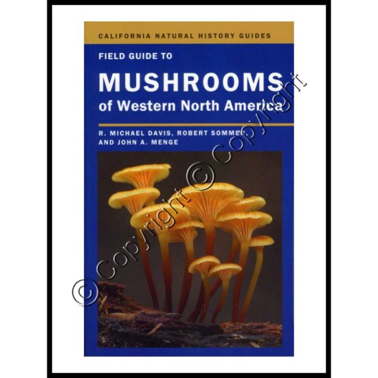 Field Guide to Mushrooms of Western North America - Click Image to Close