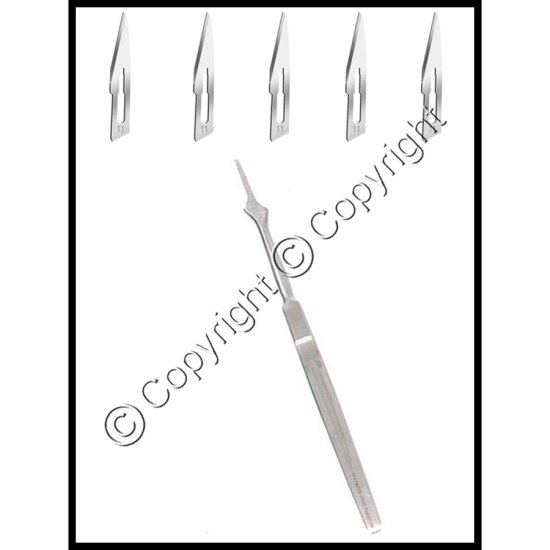 Surgical Steel Scalpel with Blades - Click Image to Close