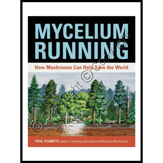 Mycelium Running: - How Mushrooms Can Help Save The World - Click Image to Close