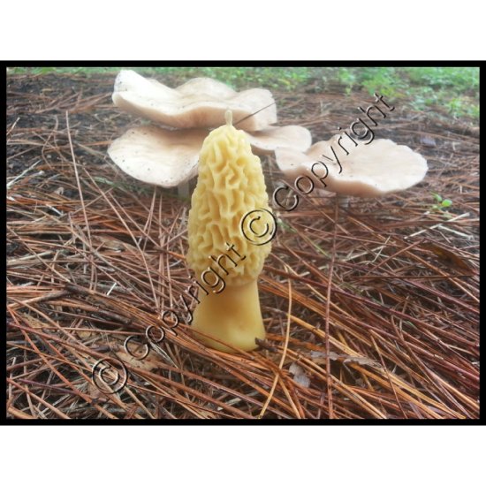 Morel Mushroom Candle - Click Image to Close