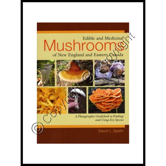 Edible and Medicinal Mushrooms of New England & Eastern Canada - Click Image to Close