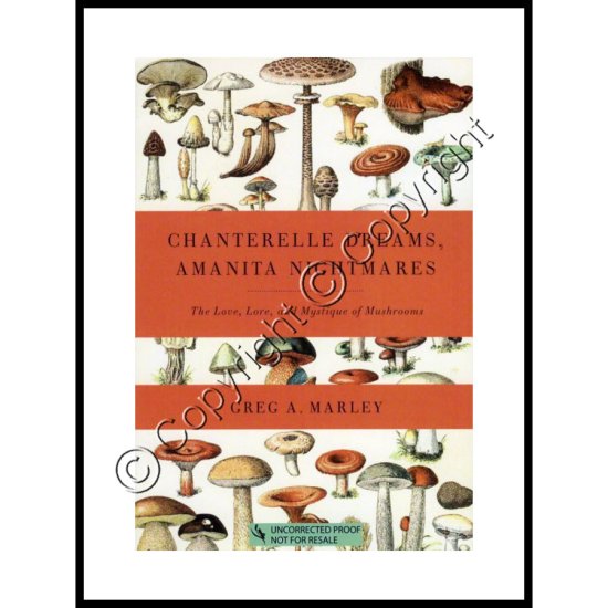 Chanterelle Dreams, Amanita Nightmares - Click Image to Close