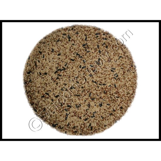 Wild Bird Seed