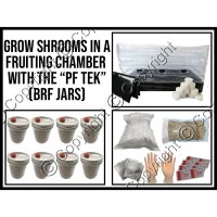 PF Tek Mushroom Grow Kit