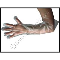 Replacement Poly Gloves for Glovebag