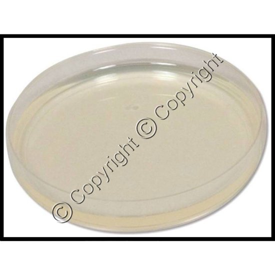 Pre-Poured MEA Agar Plates - Set of Four - Click Image to Close