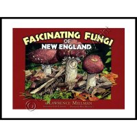 Fascinating Fungi of New England