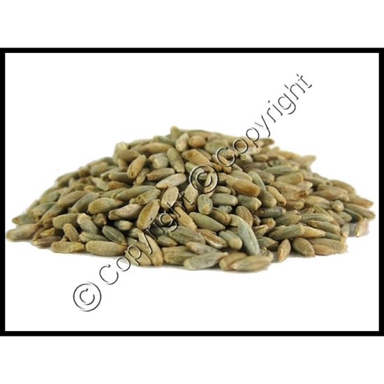 Organic Rye Berries - Click Image to Close