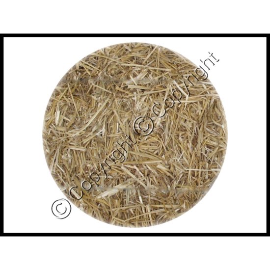 Fresh Cut Wheat Straw - Click Image to Close