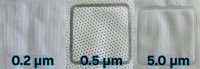 (image for) Large Mushroom Grow Bag - Oxo-Biodegradable [0.5 micron filter]