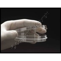 Disposable Stackable Petri Dishes - 60mm x 15mm - Sterile - 10/PK