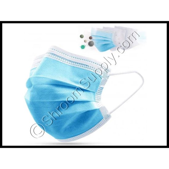 Protective 3-Ply Disposable Face Mask w/ Ear Loops - Click Image to Close