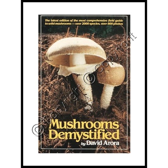 Mushrooms Demystified - Click Image to Close