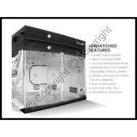 OG Gorilla Mushroom Grow Tent (5' x 5')