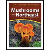 Mushrooms of the Northeast