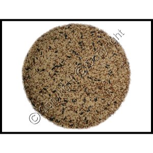 Wild Bird Seed
