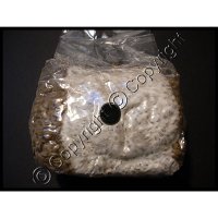 (image for) Sterilized Rye Berries - Grain Spawn