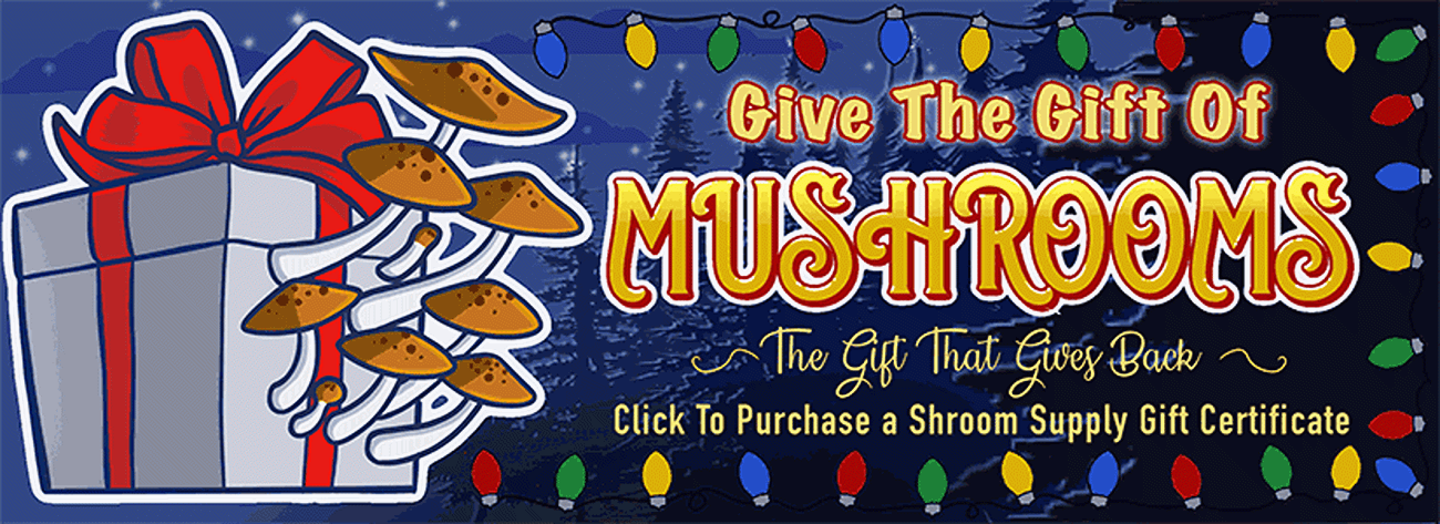 zGift Certificate Christmas (image for) zGift Certificate Christmas