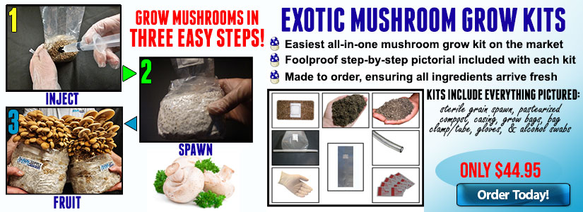 zMushroom Cultivation Kits