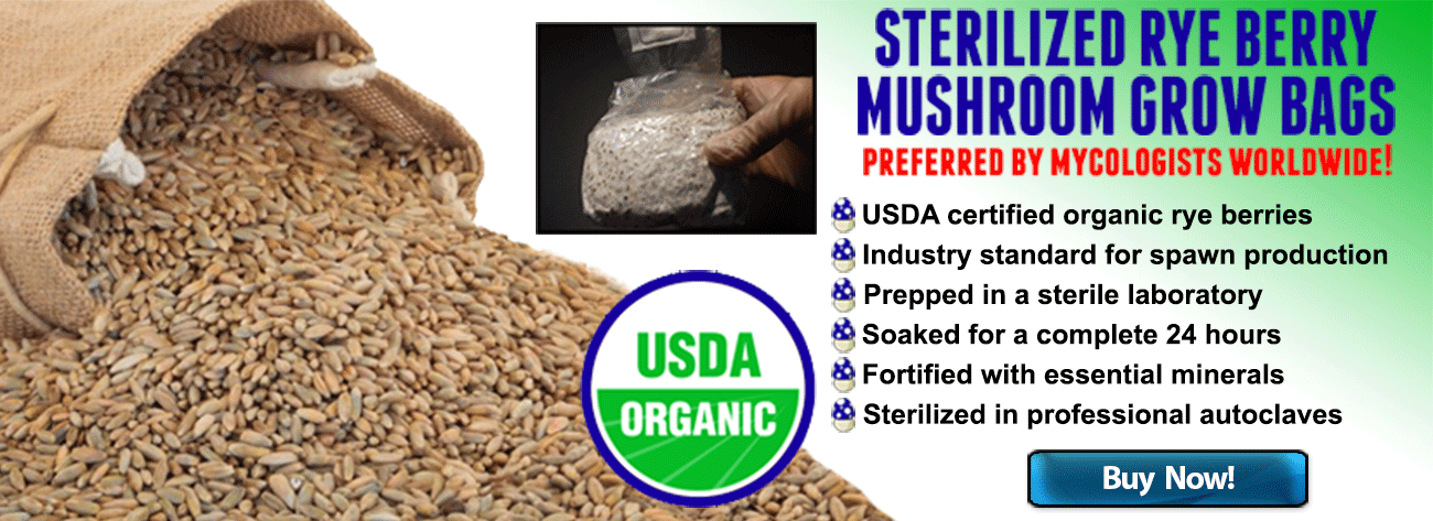 zSterilized Substate - Organic Rye Berries