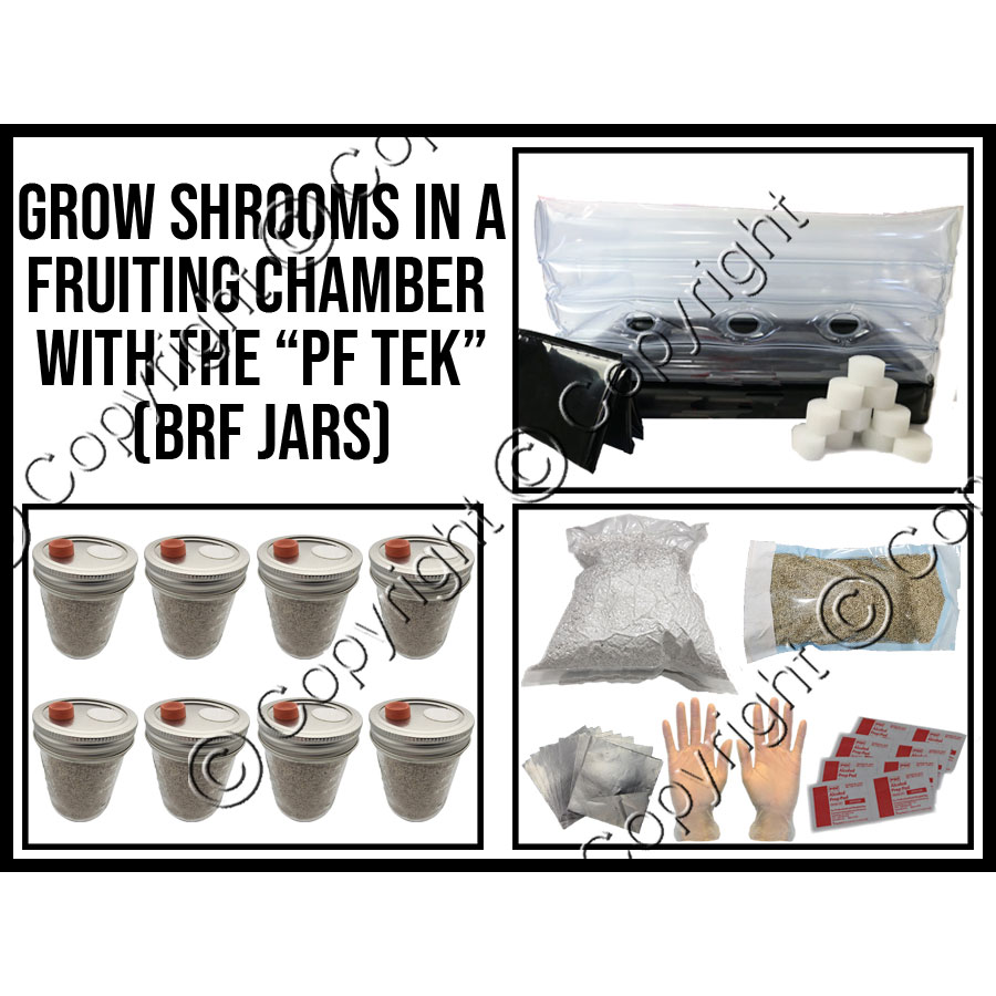 PF Tek Mushroom Grow Kit Shroom Supply