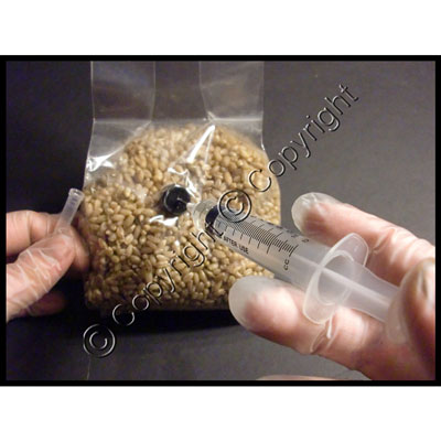 Mushroom Bag Clamp : Shroom Supply